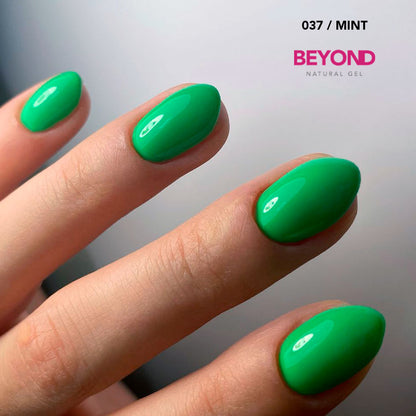 Rain Forest Collection (037-042)